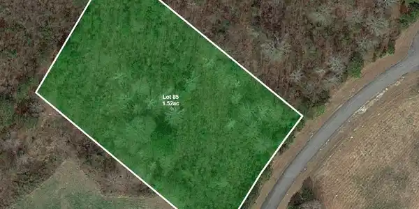 Image 2: Eagletrace-Lot85-Satellite2
