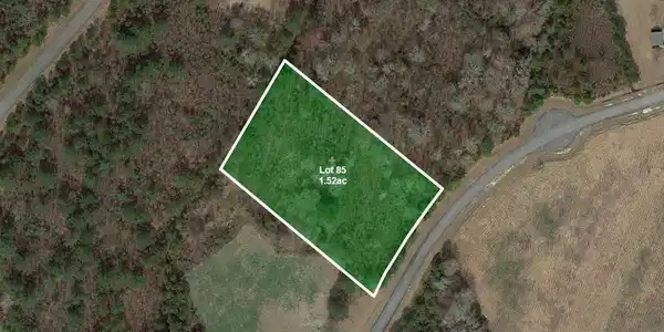 Image 3: Eagletrace-Lot85-Satellite1