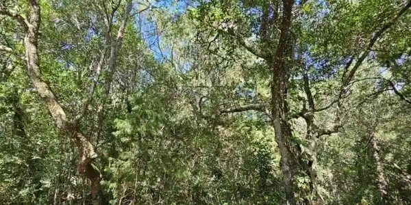 Image 3: 20230830170527081671000000-o