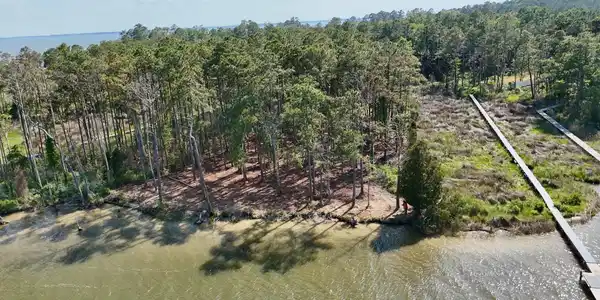 Image 3: Drone shot