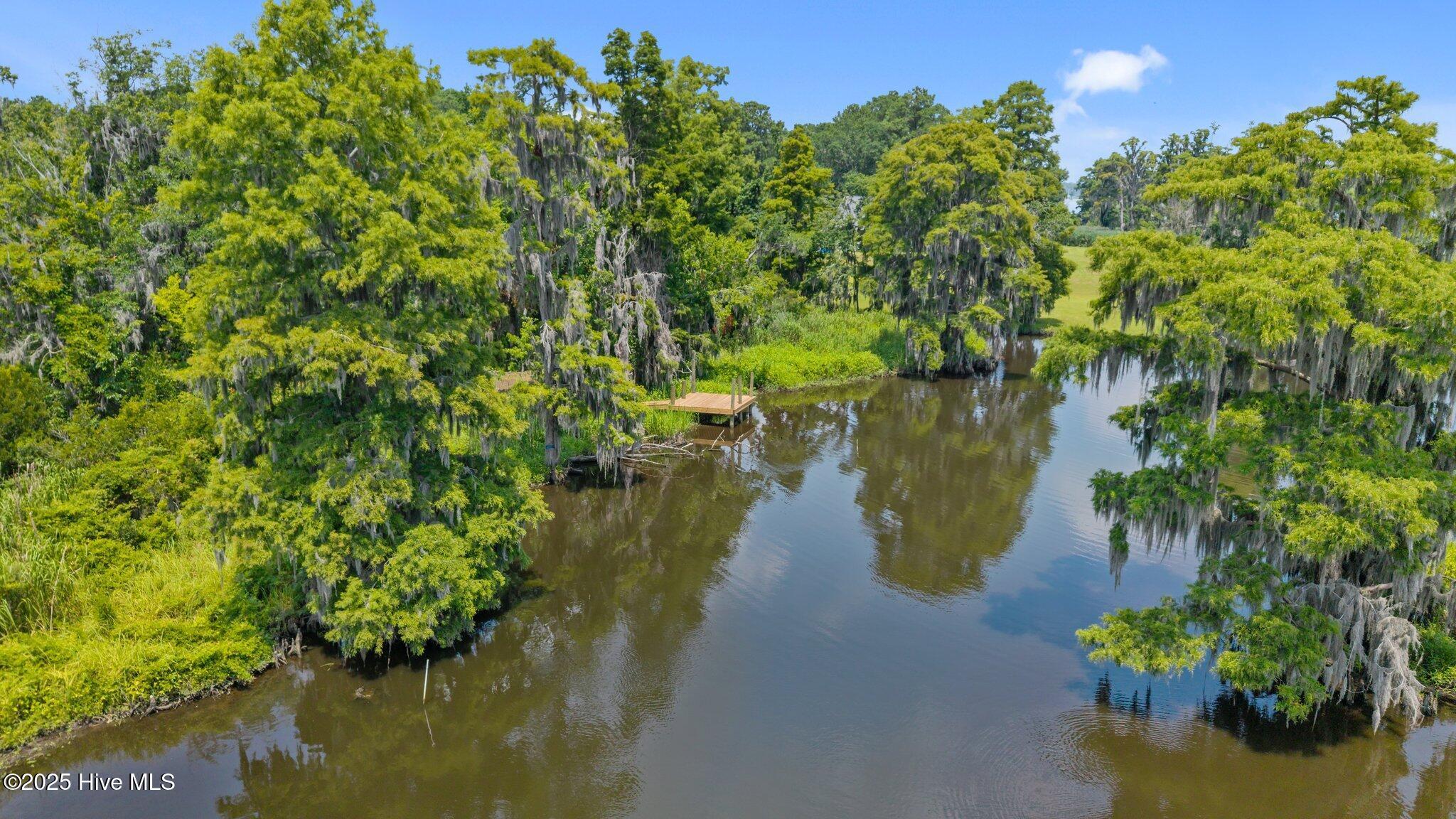 Image 4: View of Dock from Rennys Creek