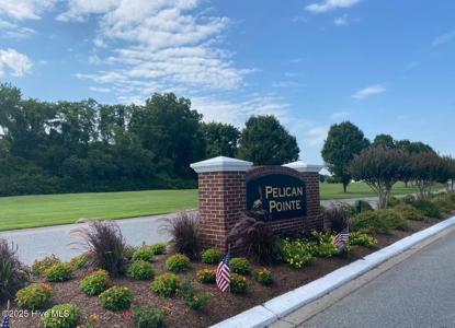 149 Pelican Pointe Drive