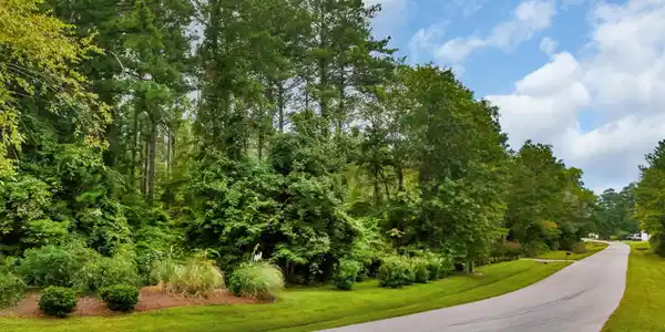 Image 2: Corner lot in Jonaquin's Landing