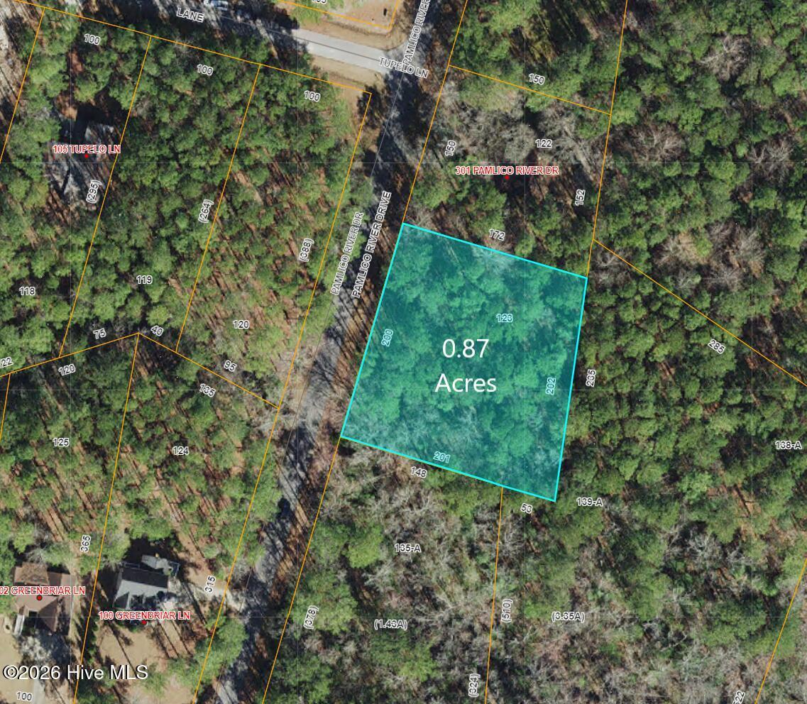 Image 1: 411 Pamlico River Dr Lot 123