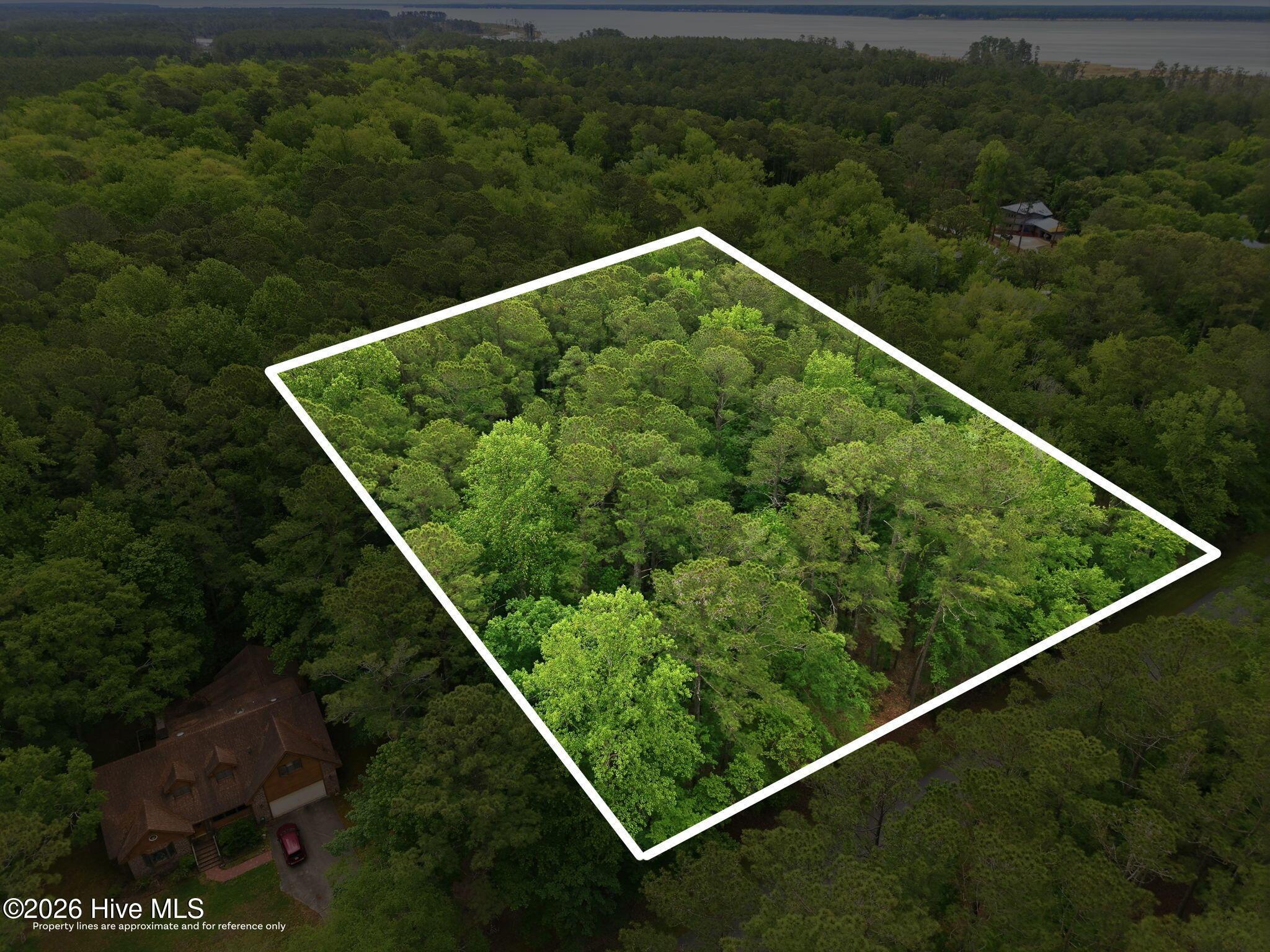 Image 3: 3-web-or-mls-DJI_20260501100329_0032_D_e