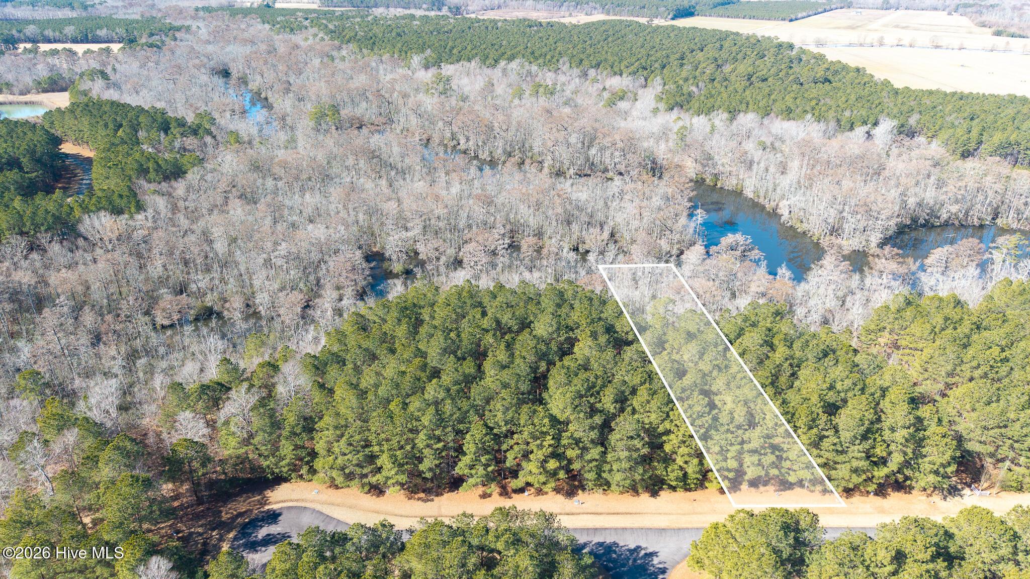 Image 1: DJI_20260214111054_0295_D-Edit