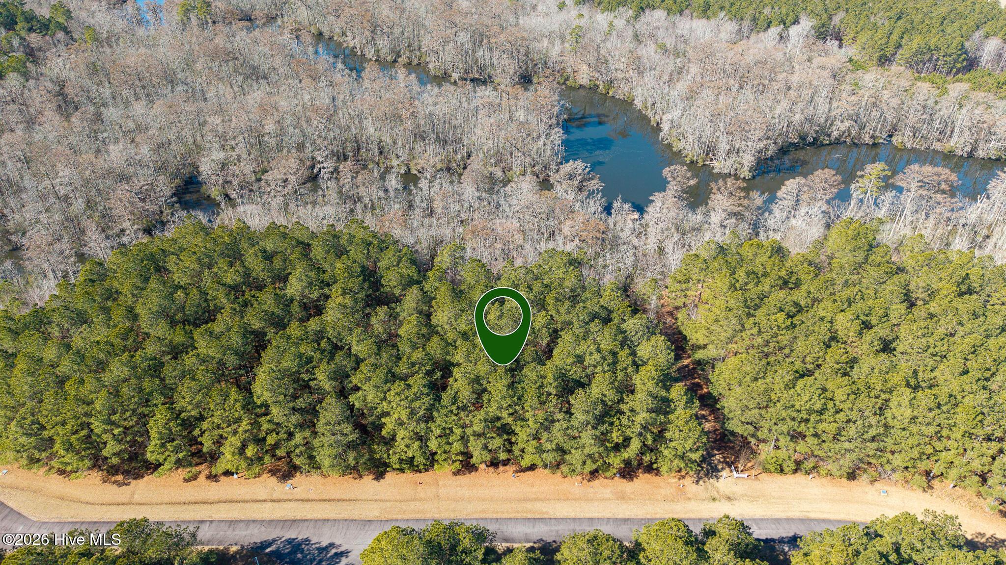 Image 3: DJI_20260214111238_0300_D-Edit