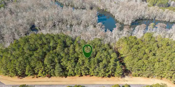 Image 3: DJI_20260214111238_0300_D-Edit
