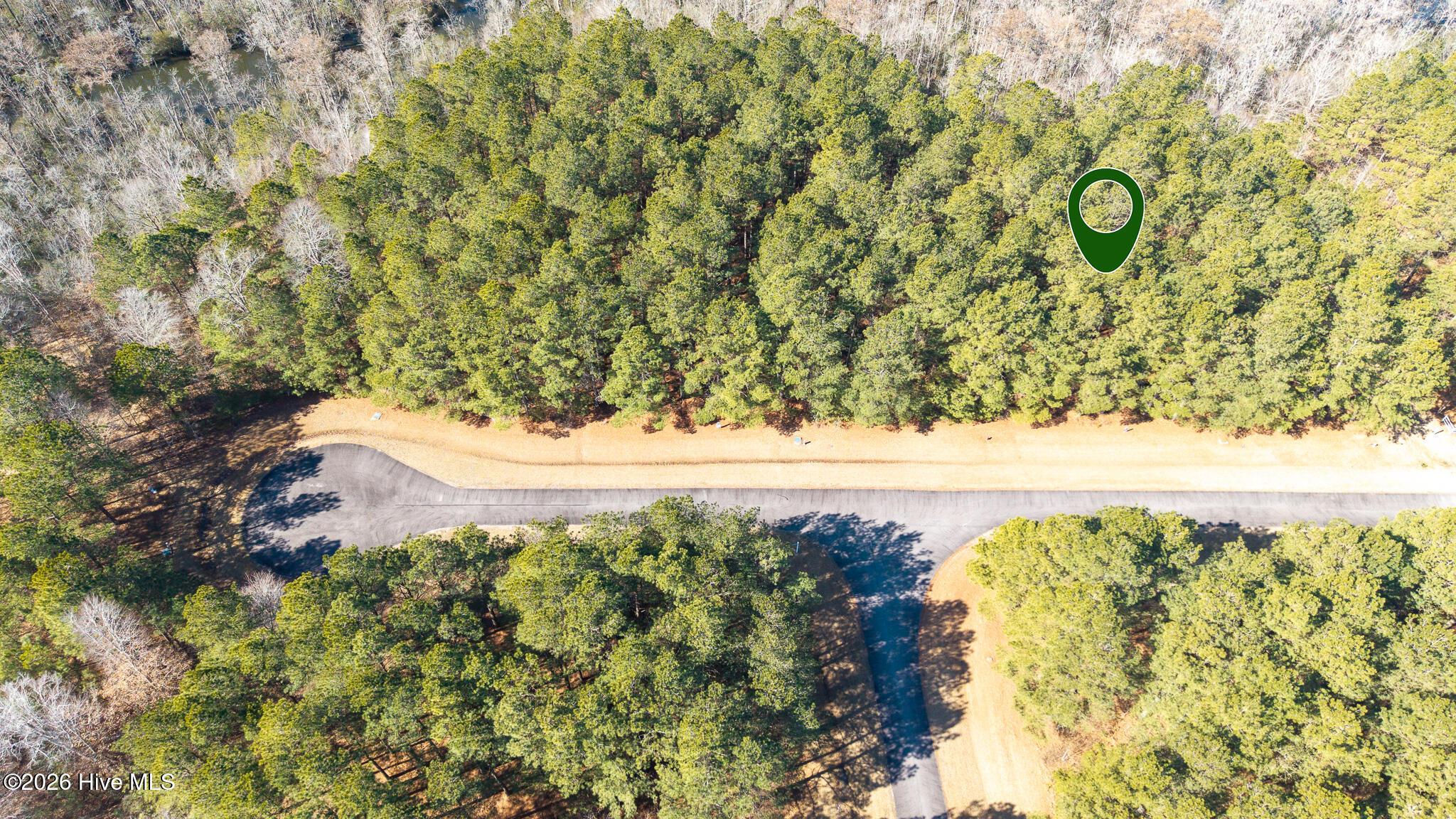 Image 4: DJI_20260214111102_0296_D-Edit