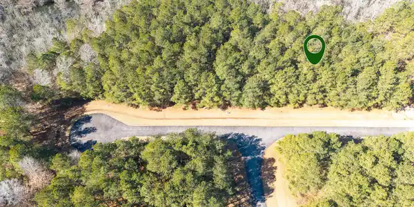 Image 4: DJI_20260214111102_0296_D-Edit