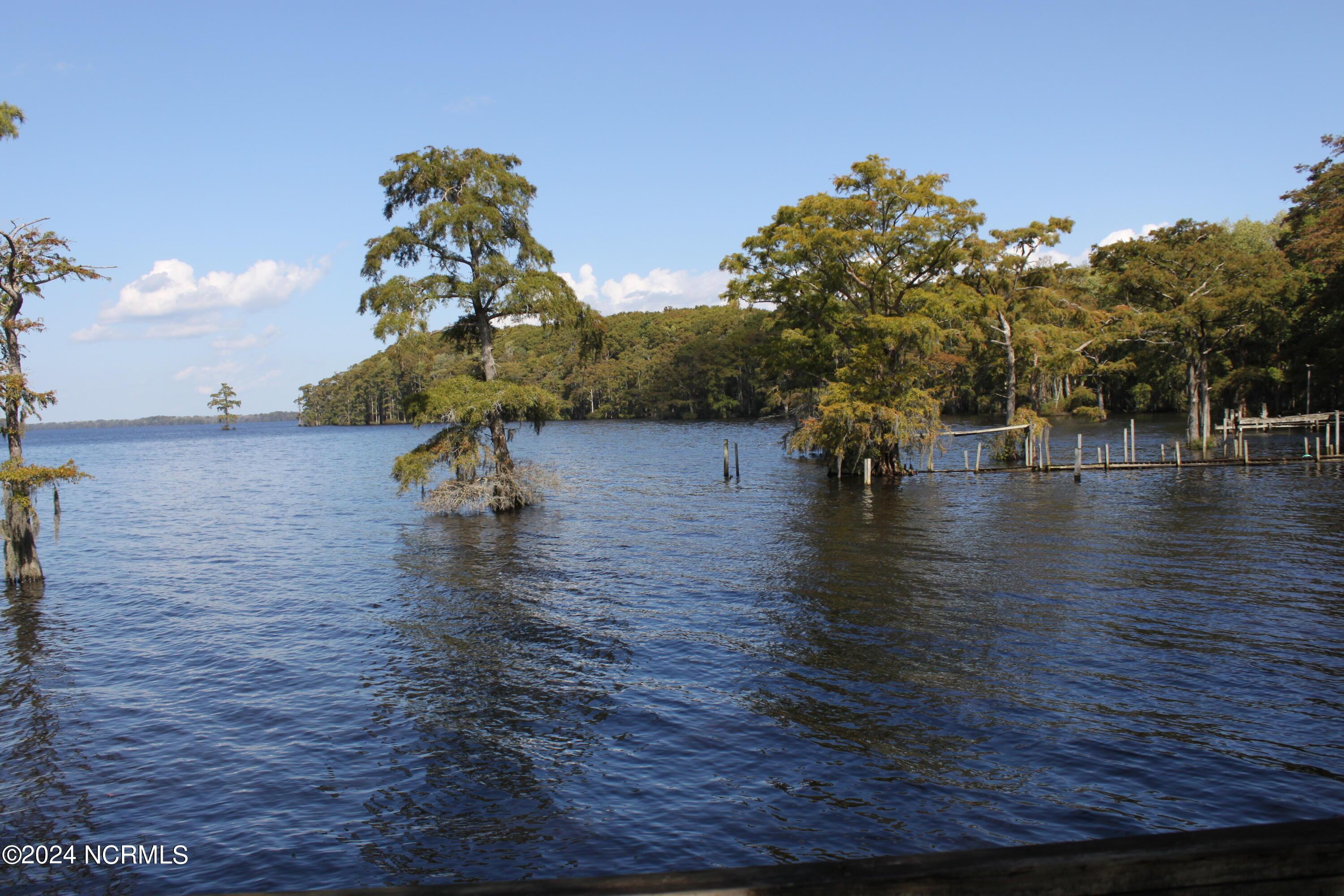 Image 3: IMG_2385