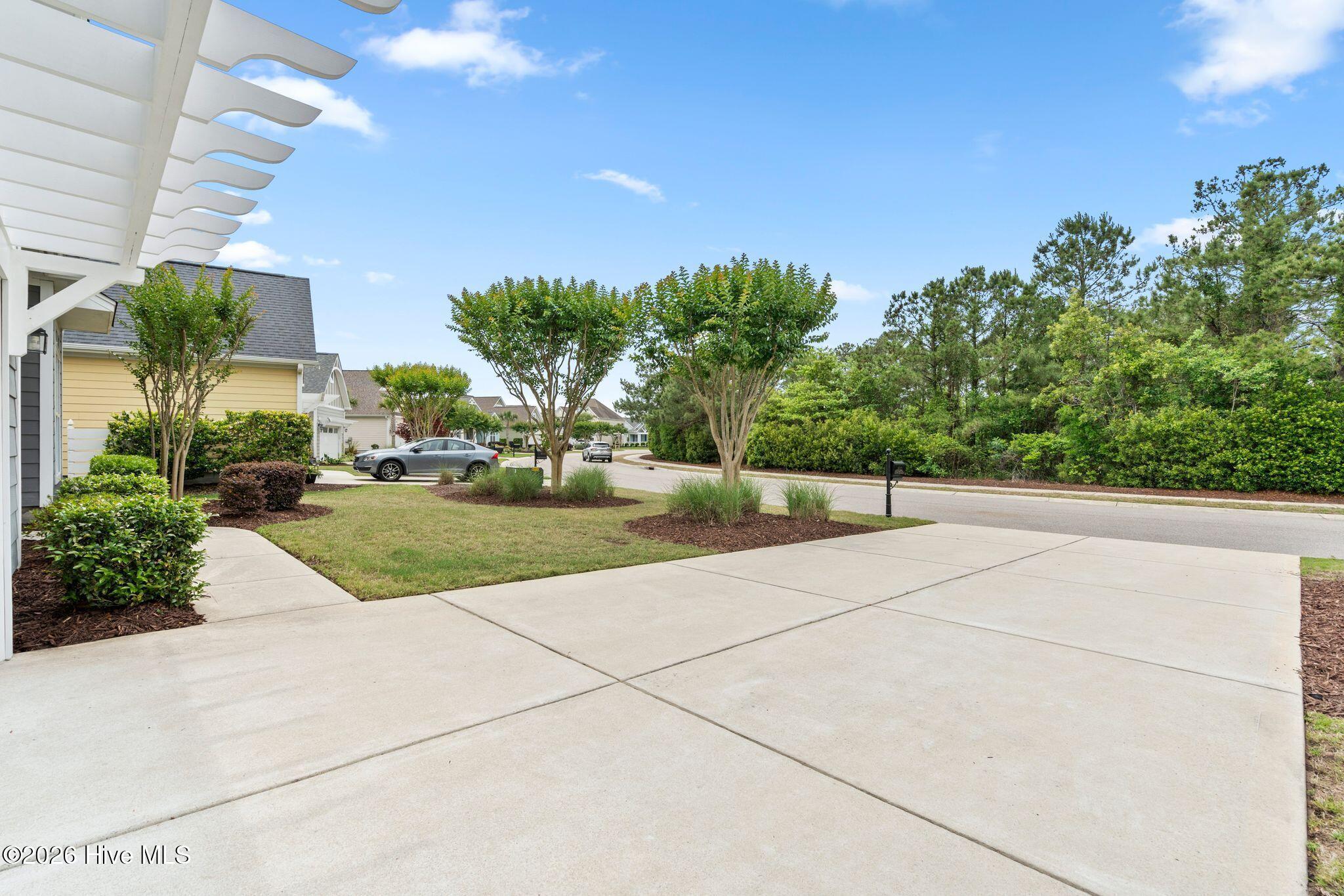 Image 4: Green space across the street- privacy