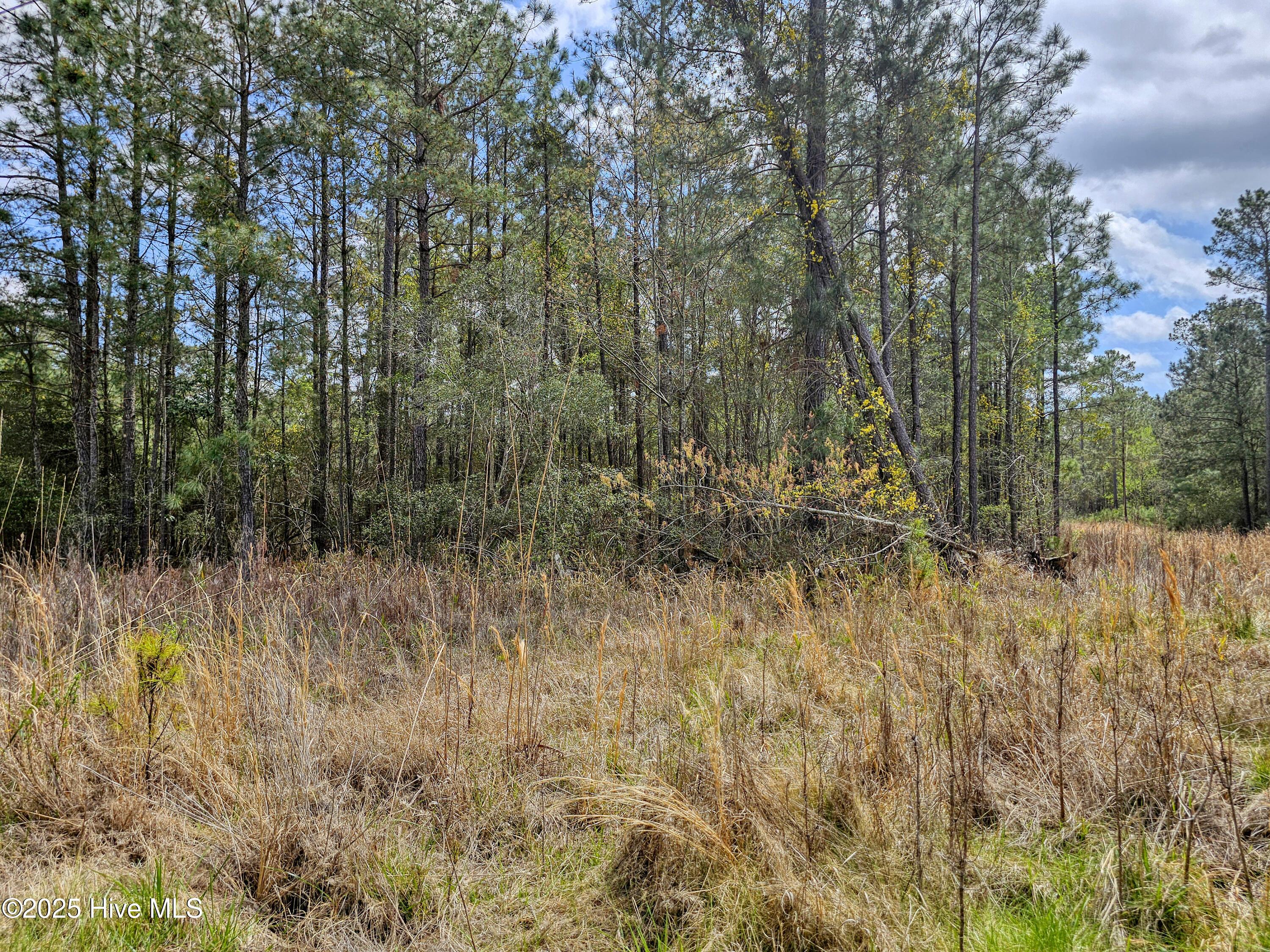 Image 2: 20250401_130321b