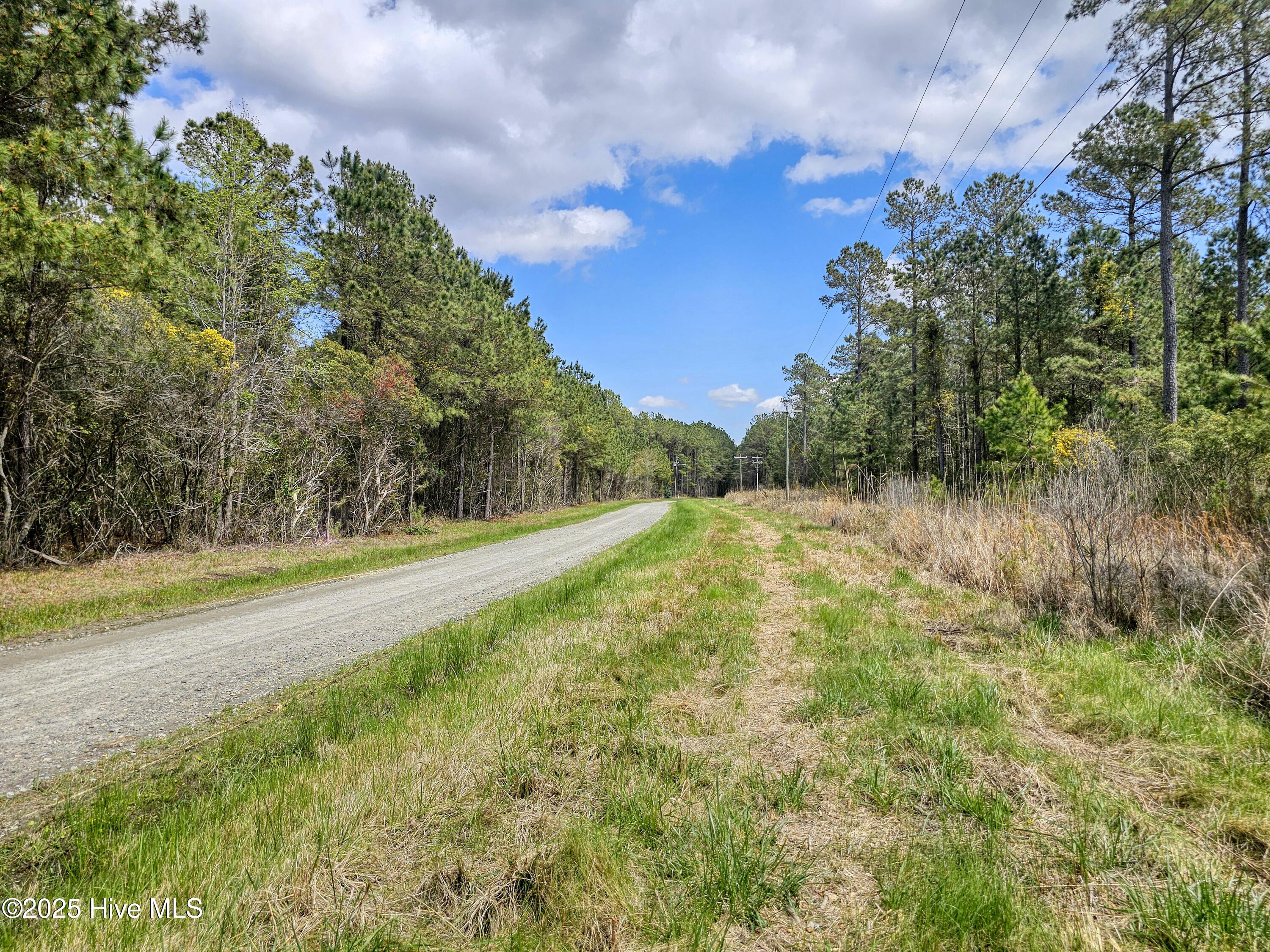 Image 3: 20250401_130340b