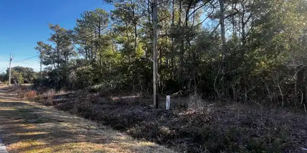 338 Diamond City Drive