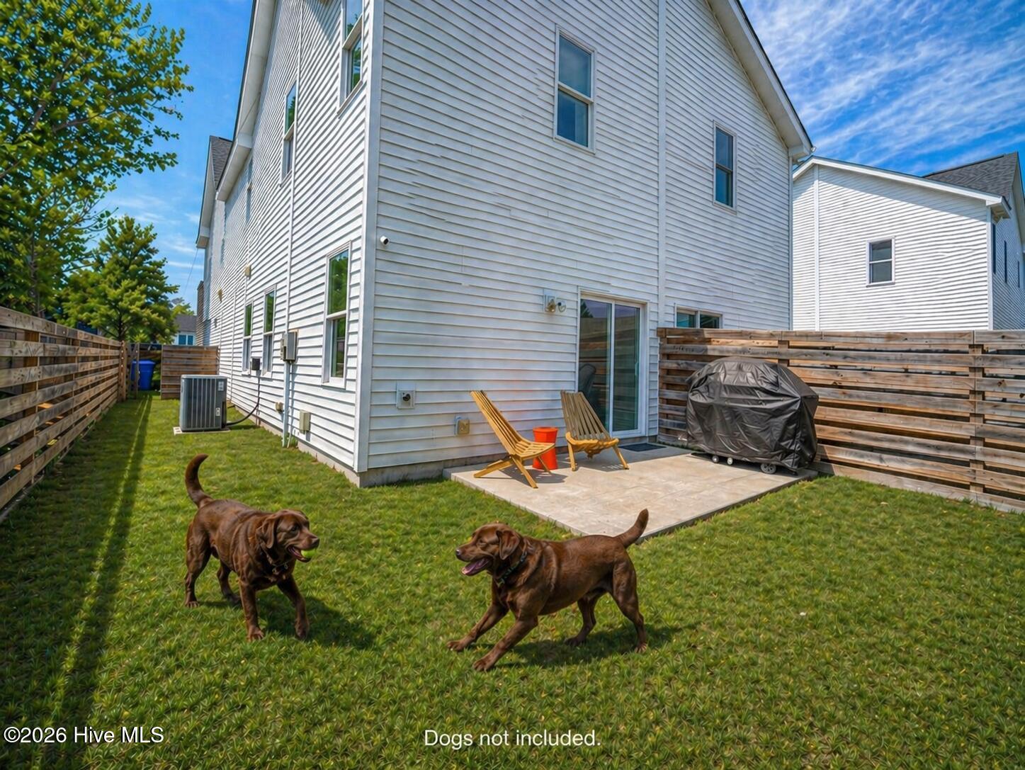 Image 4: Backyard "Dogs Not Included"