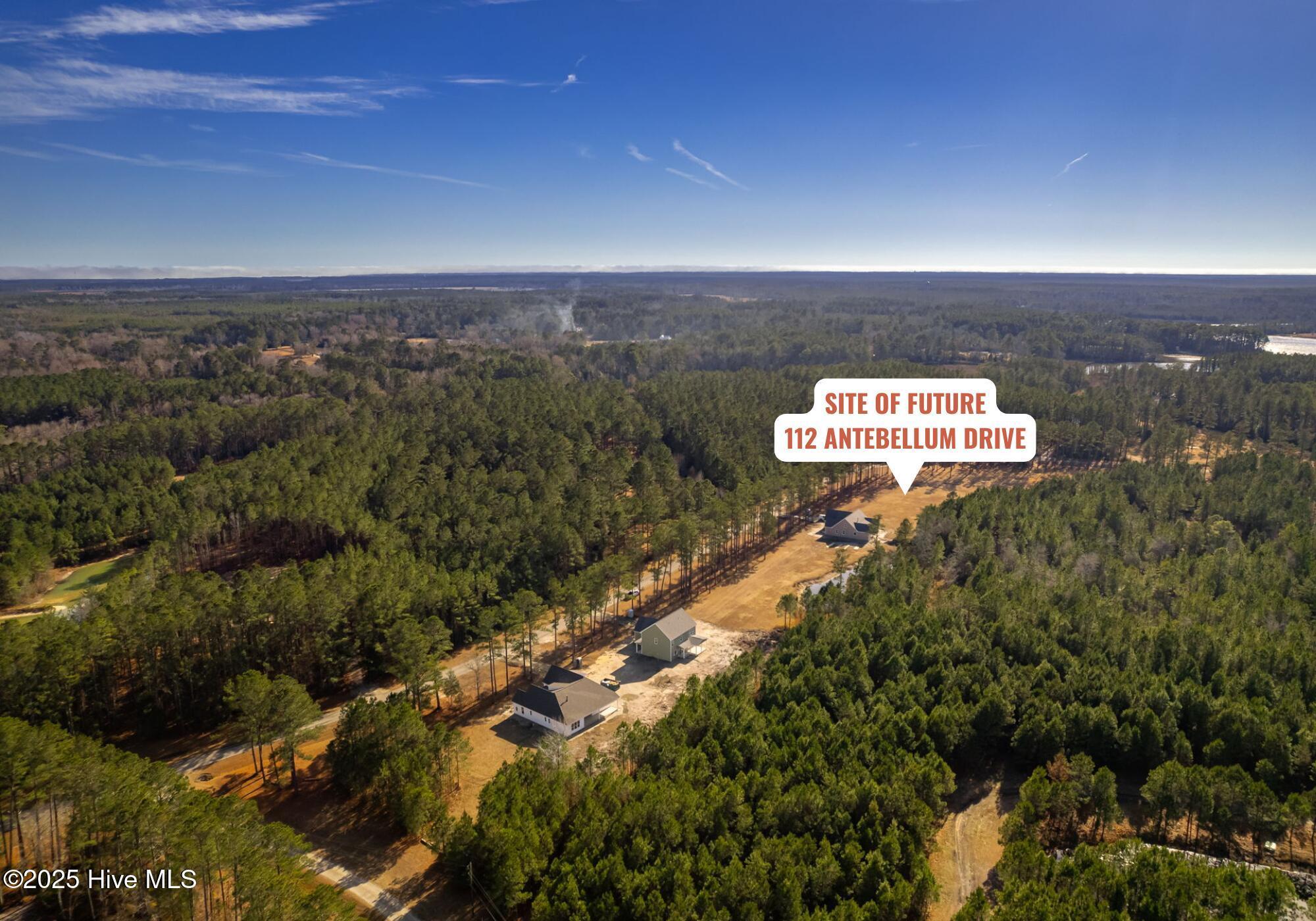 Image 2: Future Site