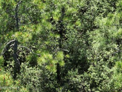 0000 Adams Creek Road