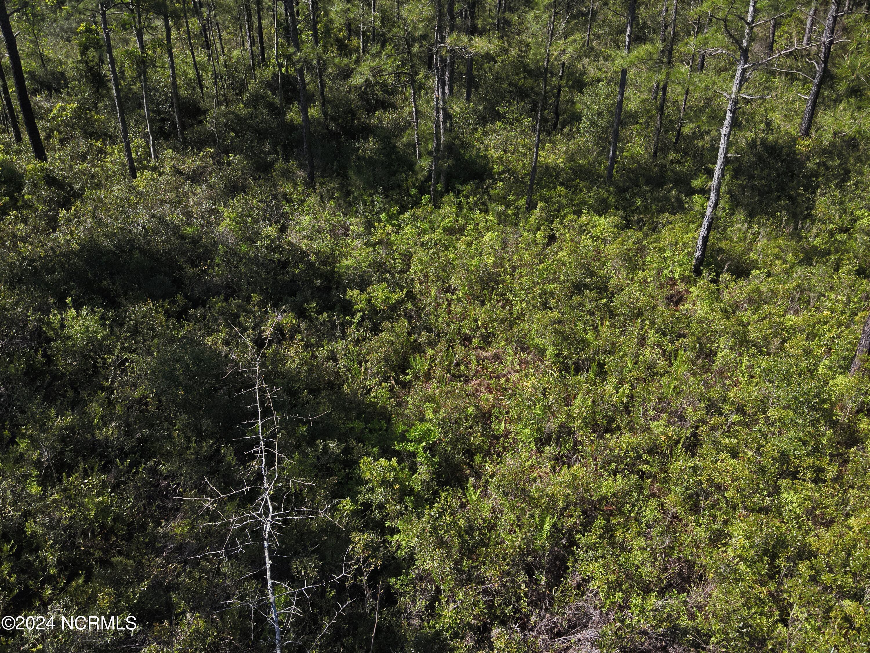 Image 2: DJI_20230502095130_0005_V