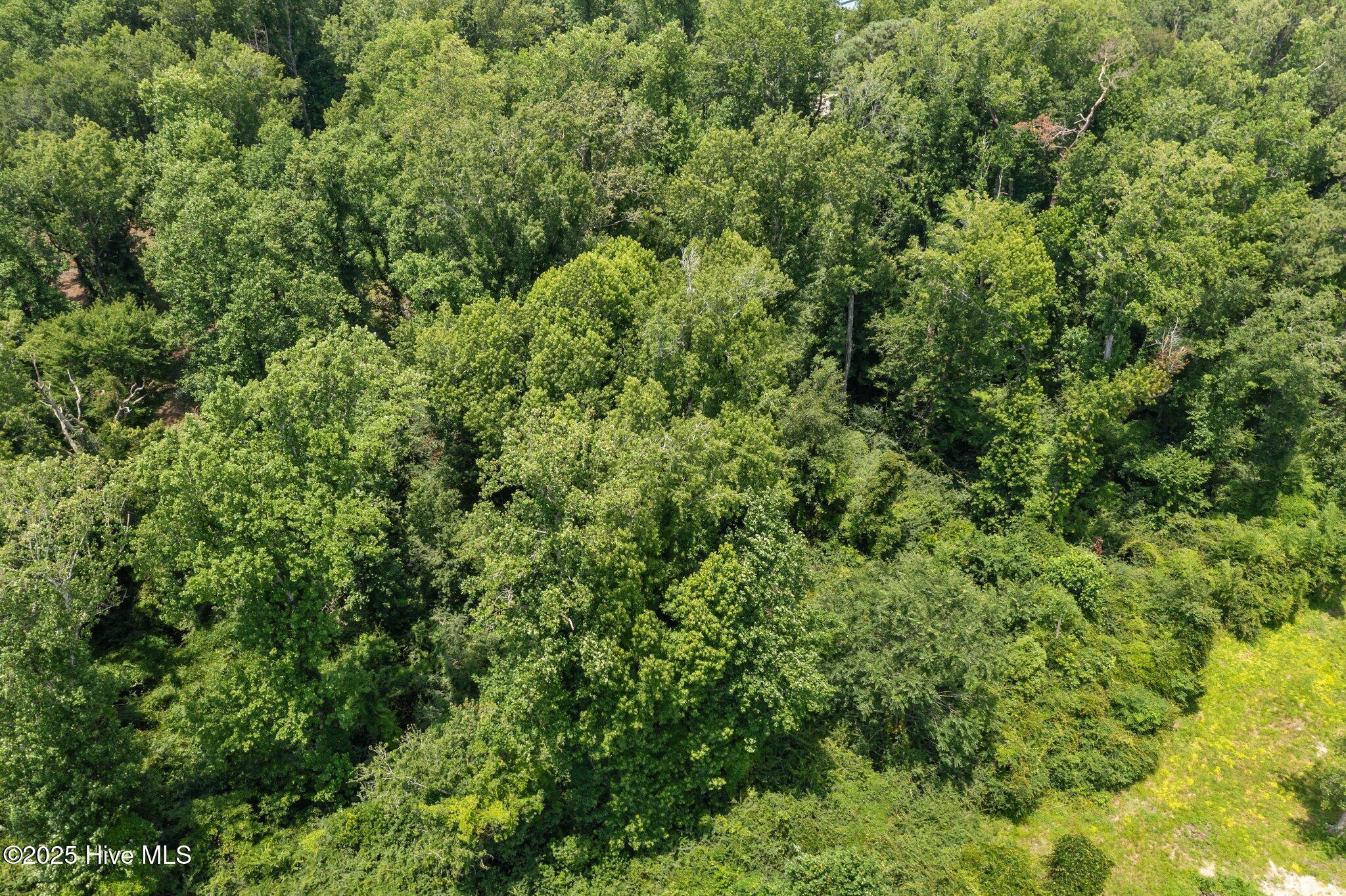 Image 2: 6-web-or-mls-DJI_0244