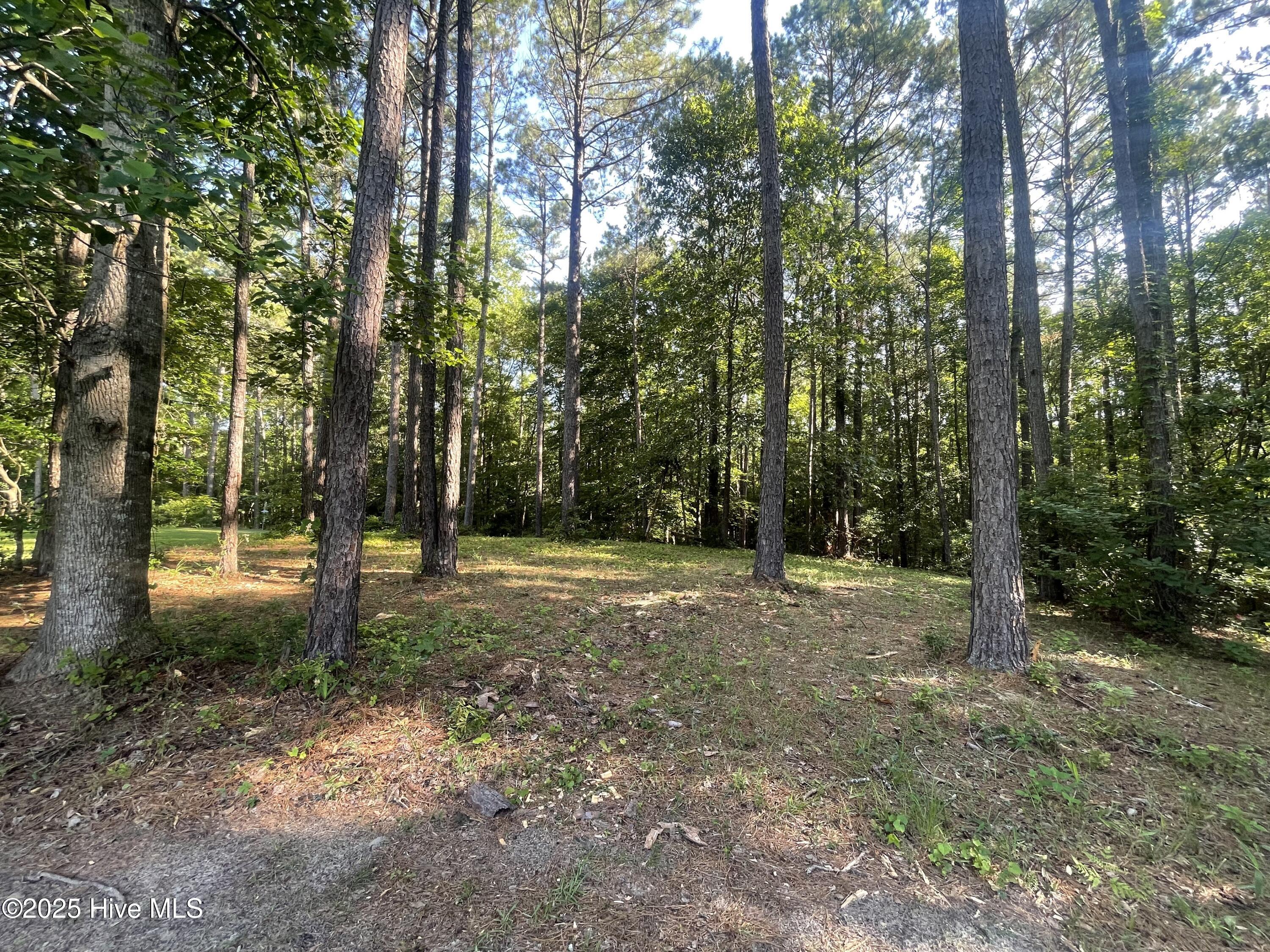Image 2: 112 Chickory Lane