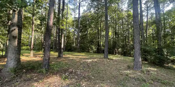 Image 2: 112 Chickory Lane