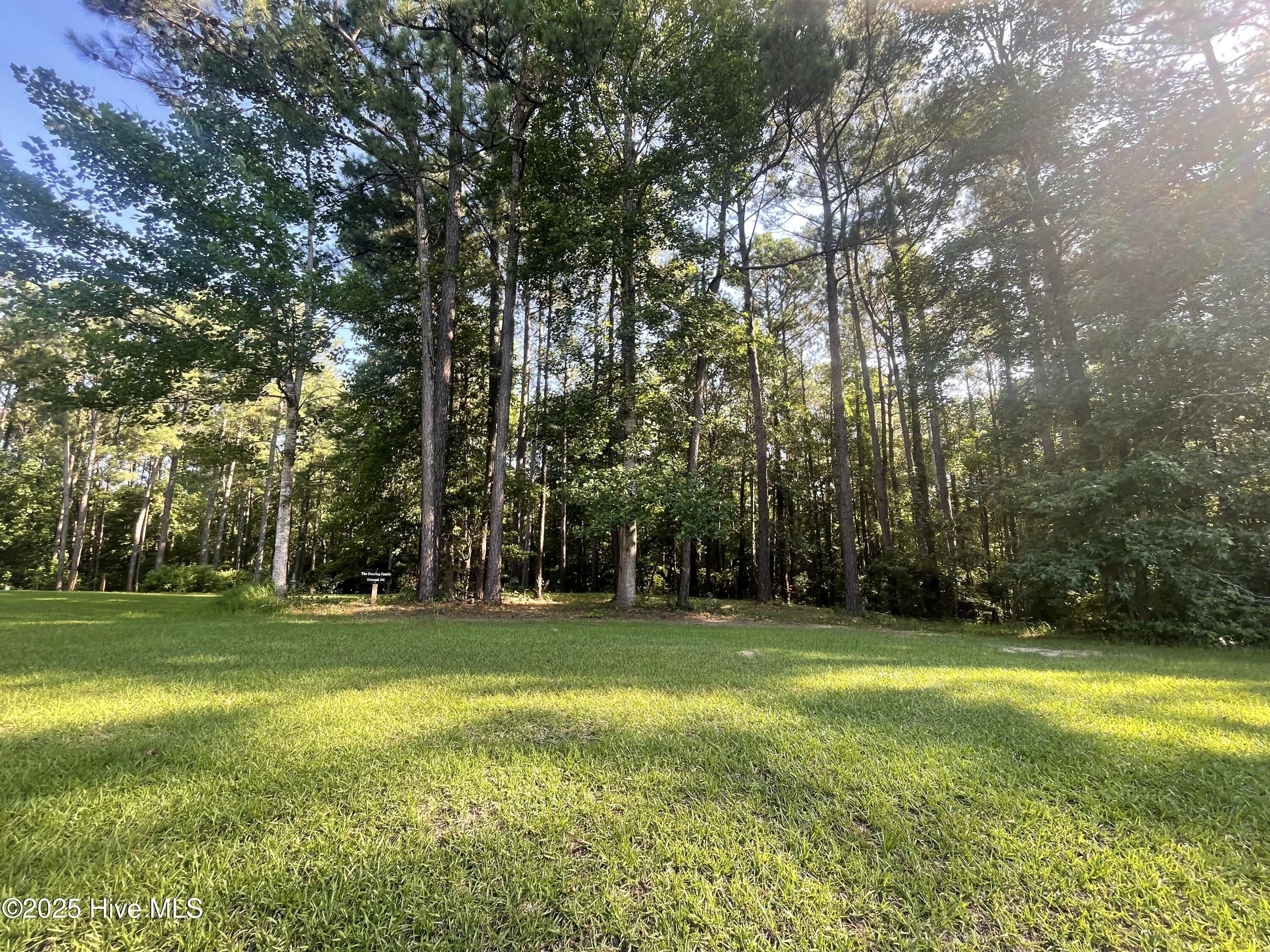 Image 3: 112 Chickory Lane