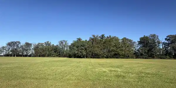 Image 4: Lot View