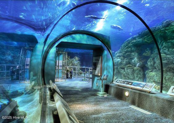 Image 3: Myrtle Beach Aquarium
