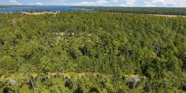Image 4: 3-web-or-mls-DJI_20251002134819_0272_D