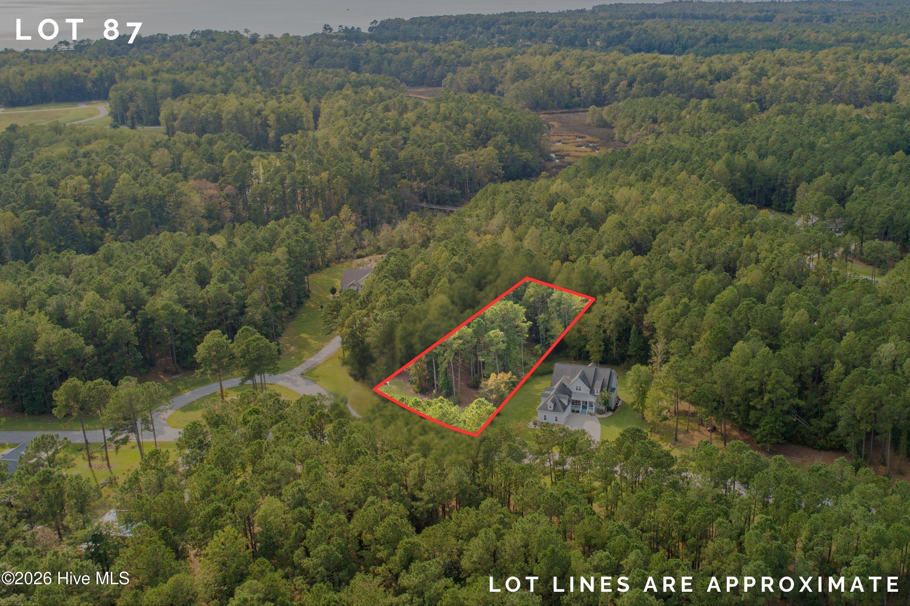 Image 1: Lot 87 red lines