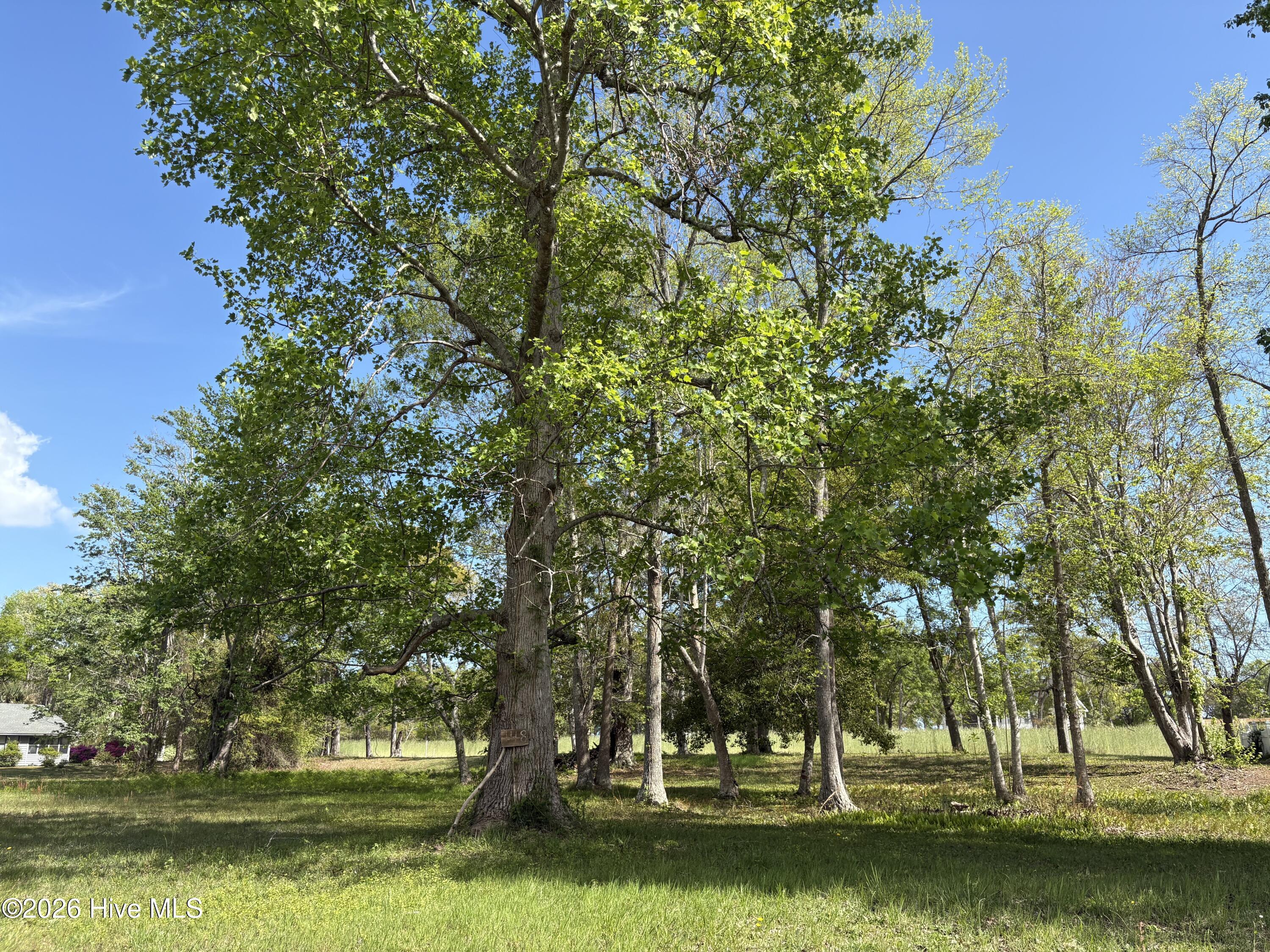 Image 1: Beautiful Homesite
