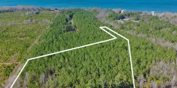 57 Eagle Nest Trail