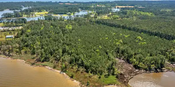 Image 2: 5-web-or-mls-DJI_0629