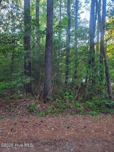 Lot 1 Maple