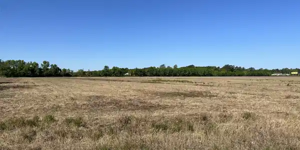 Image 4: Sawyertown Land Pic