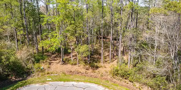 Image 4: DJI_0689