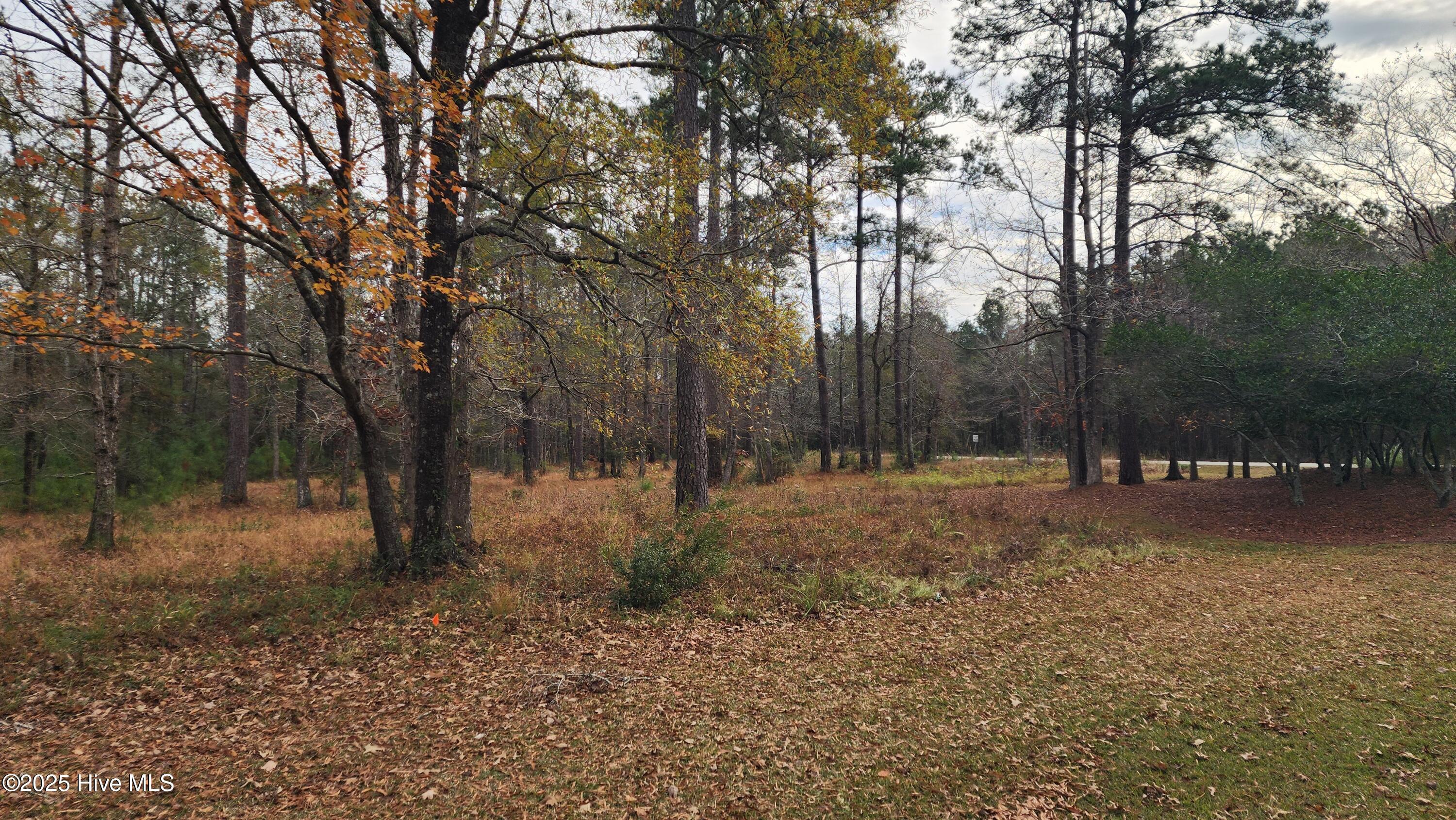Image 3: 20251204_125143
