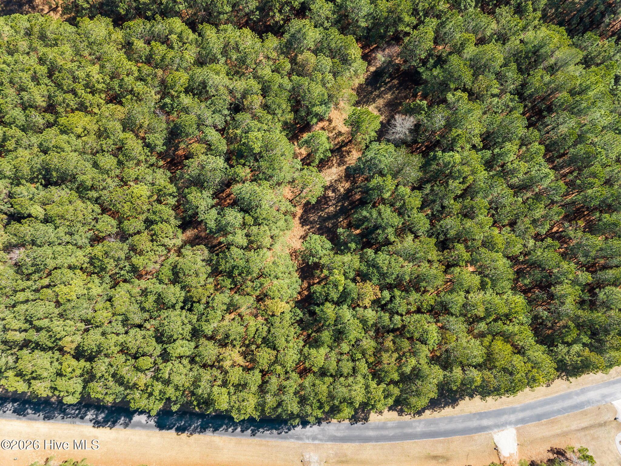 Image 3: 9-web-or-mls-DJI_20260223121037_0101_D