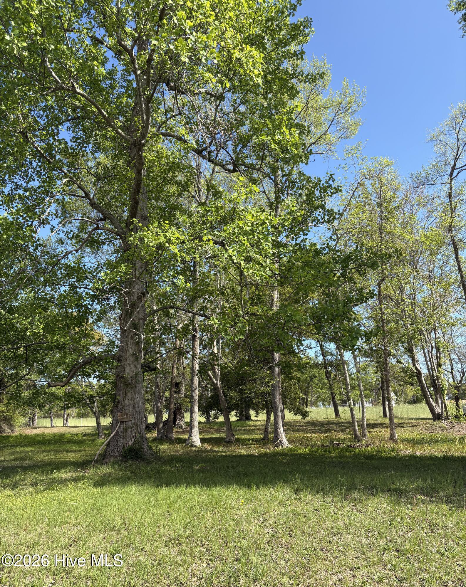 Image 4: Front to back photo