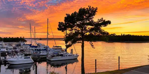 2213 Harbourside Drive