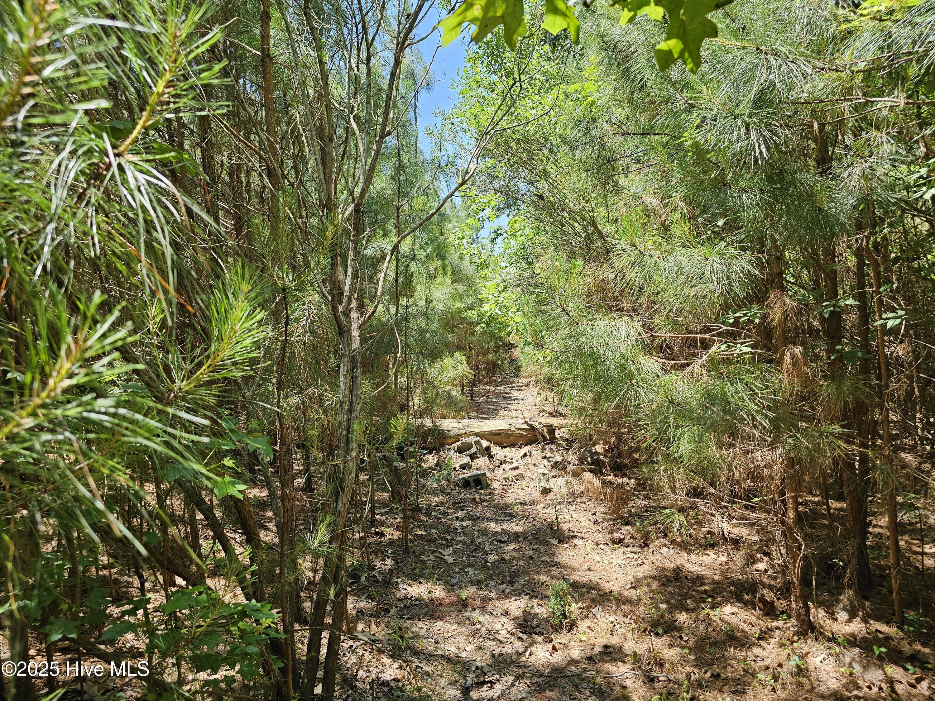 Image 1: 20250520_121253