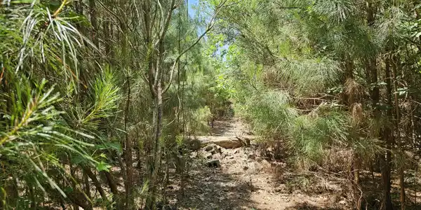 9, 10, 11 Peninsula Shores Way