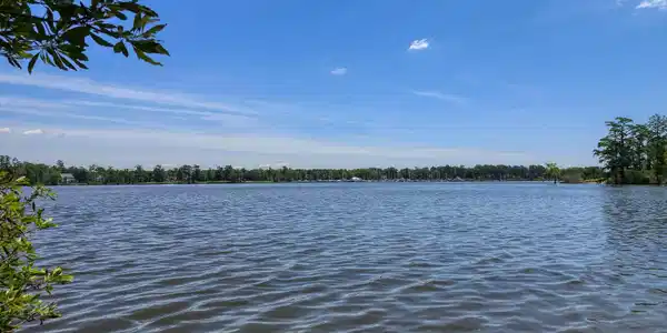 Image 2: 20250520_115531b1