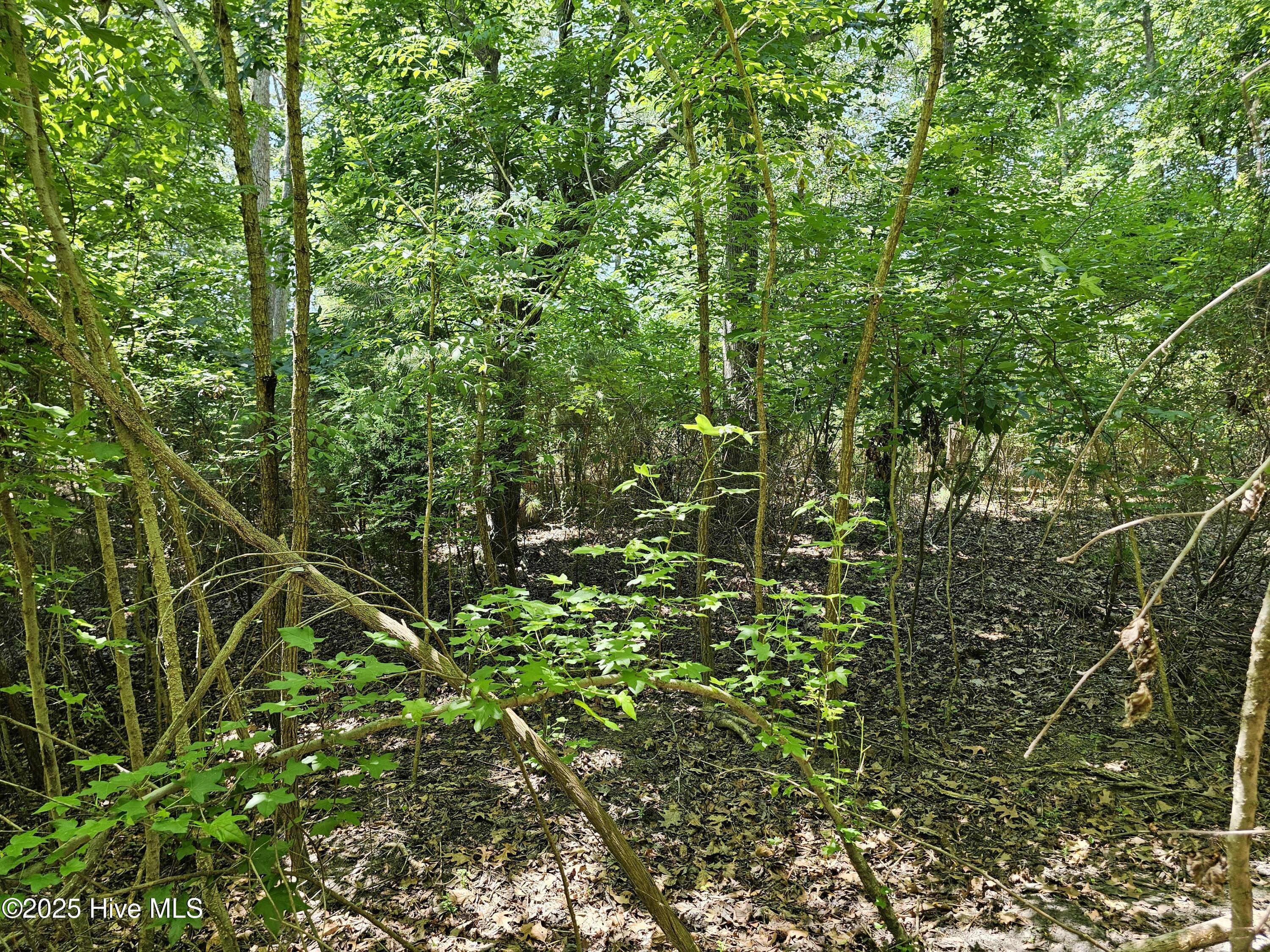 Image 3: 20250520_120351