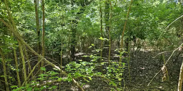 Image 3: 20250520_120351