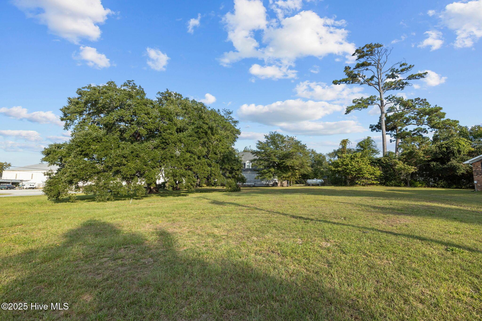 Image 3: 201 Pensacola