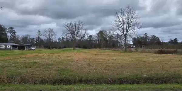 251 Alligator Loop Road