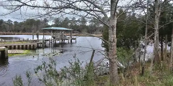 Image 2: 251 ALLIGATOR LOOP 3 LEFT WATER VIEW