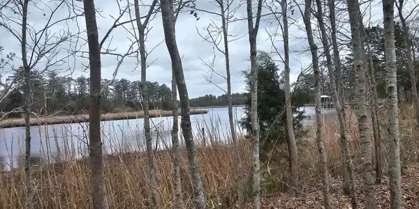 Image 3: 251 ALLIGATOR LOOP 4 RIGHT WATER VIEW